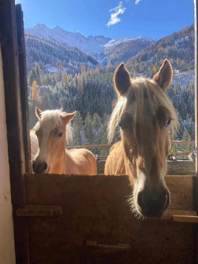 Ferienwohnungen-Lippenhof Sankt Jakob in Defereggen Dış mekan fotoğraf